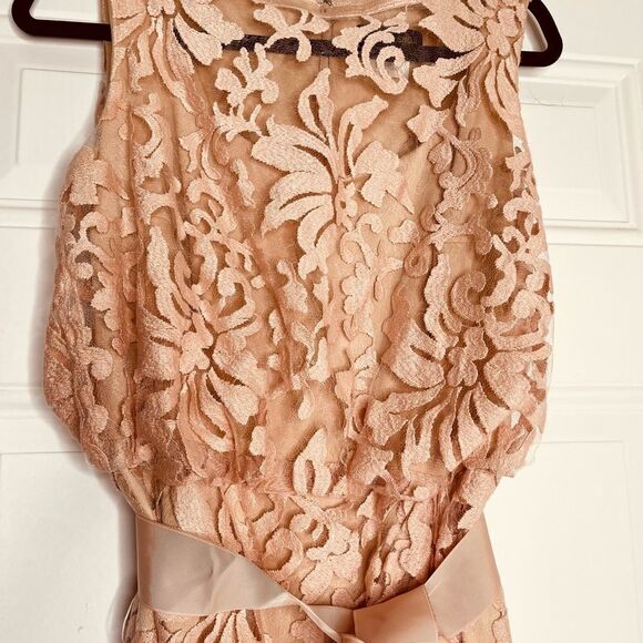 Mother of the Bride Tadashi Shoji Rose Gold Lace Belted Cocktail Dress - Picture 2 of 11